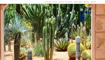 sebago-chaussures pour hommes-chaussures pour femmes-maillot de bain enfant-north sails-vetements nautiques-chaussures sebago